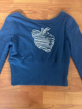 Y2K Blue Long Sleeve Apple Design 2000’s Crop Top Sweater